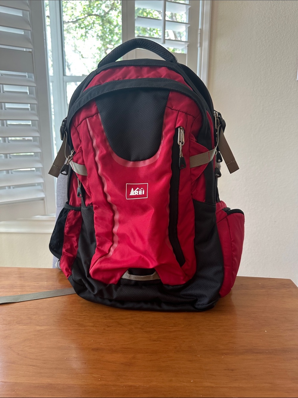This vintage REI Whitney Backpack / Day Bag many Pockets